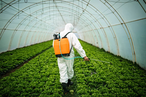 Best Pest Control for Restaurants  in Grundy Center, IA