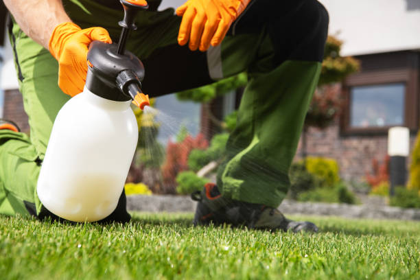Best Termite Control Services  in Grundy Center, IA