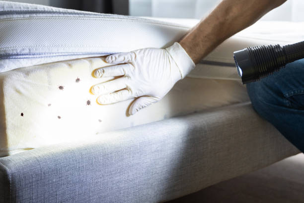 Trusted Grundy Center, IA Pest Control Experts