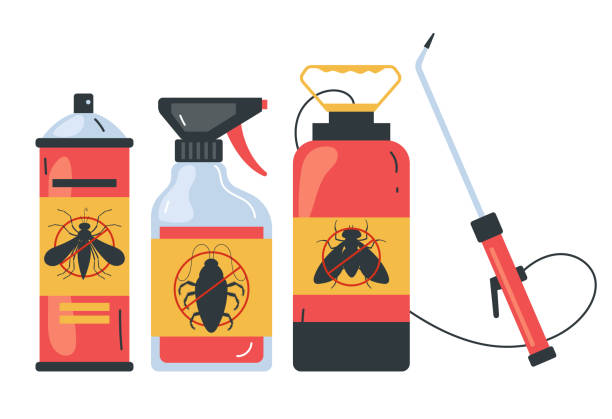 Best Termite Control Services  in Grundy Center, IA
