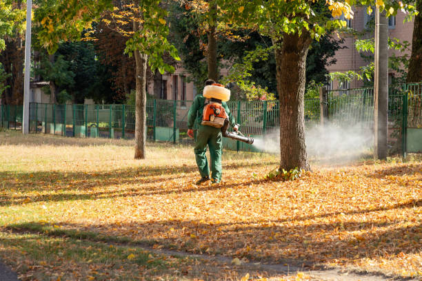 Best Affordable Pest Control Services  in Grundy Center, IA
