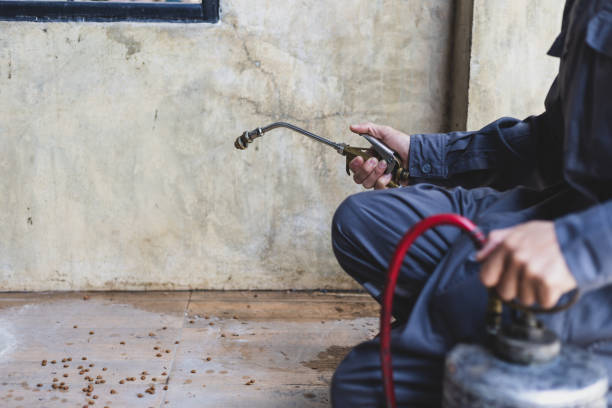 Best Pest Prevention Services  in Grundy Center, IA